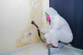 Best HVAC Mold Inspection and Cleaning  in Leonardo, NJ